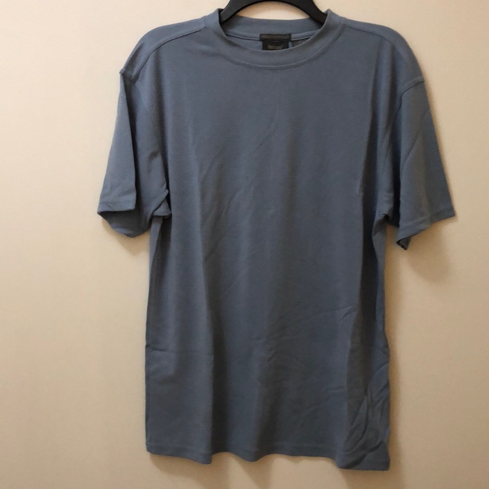 Bruno Men’s Medium Light Blue Sueded Microfiber T-shirt. Grey Pinstripes.